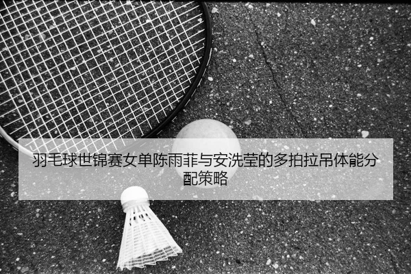 羽毛球世锦赛女单陈雨菲与安洗莹的多拍拉吊体能分配策略