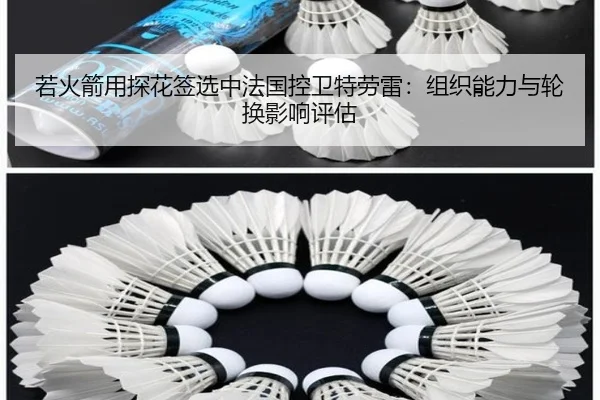 ruo-huo-jian-yong-tan-hua-qian-xuan-zhong-fa-guo-kong-wei-te-lao-lei-zu-zhi-neng-li-yu-lun-huan-ying-xiang-ping-gu-3-843.jpg