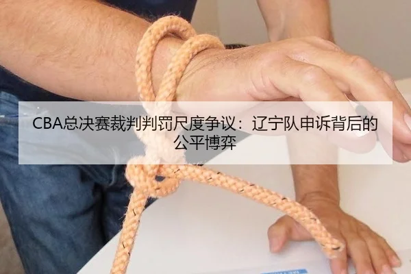 CBA总决赛裁判判罚尺度争议：辽宁队申诉背后的公平博弈