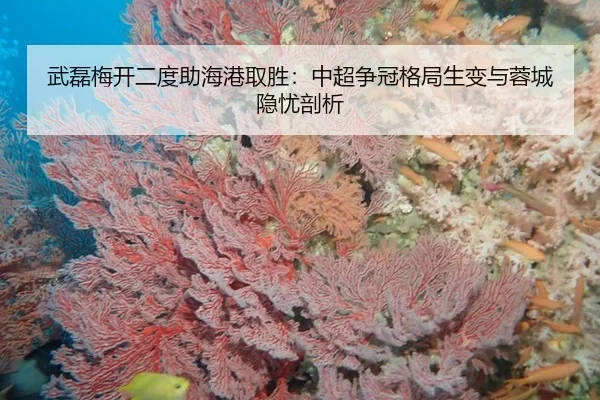 武磊梅开二度助海港取胜：中超争冠格局生变与蓉城隐忧剖析